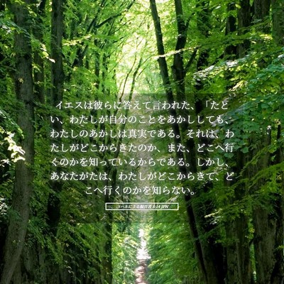 Picture 05 - ヨハネによる福音書 8:14 JPN - イエスは彼らに答えて言われた、「 - Bible Verse Picture