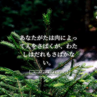 Picture 05 - ヨハネによる福音書 8:15 JPN - あなたがたは肉によって人をさばく - Bible Verse Picture