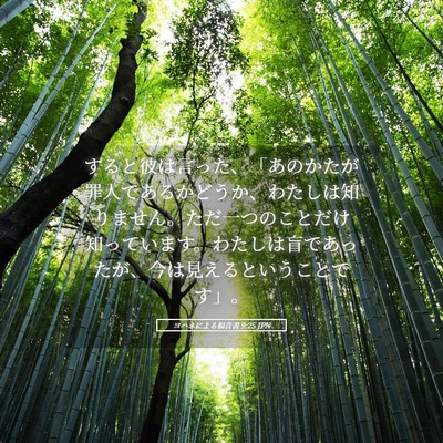 Picture 05 - ヨハネによる福音書 9:25 JPN - すると彼は言った、「あのかたが罪 - Bible Verse Picture