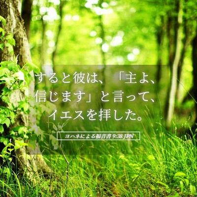 Picture 05 - ヨハネによる福音書 9:38 JPN - すると彼は、「主よ、信じます」と - Bible Verse Picture