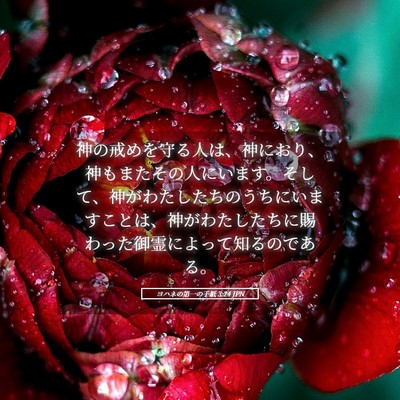 Picture 05 - ヨハネの第一の手紙 3:24 JPN - 神の戒めを守る人は、神におり、神 - Bible Verse Picture
