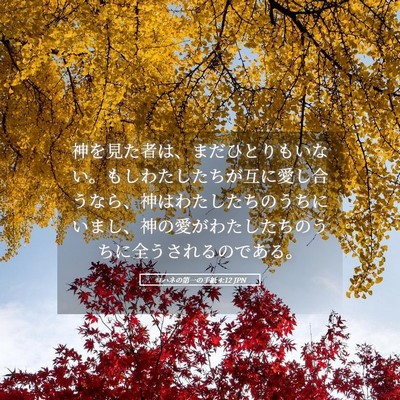 Picture 05 - ヨハネの第一の手紙 4:12 JPN - 神を見た者は、まだひとりもいない - Bible Verse Picture