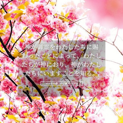 Picture 05 - ヨハネの第一の手紙 4:13 JPN - 神が御霊をわたしたちに賜わったこ - Bible Verse Picture