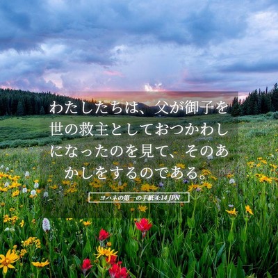 Picture 05 - ヨハネの第一の手紙 4:14 JPN - わたしたちは、父が御子を世の救主 - Bible Verse Picture