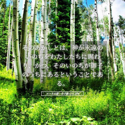 Picture 05 - ヨハネの第一の手紙 5:11 JPN - そのあかしとは、神が永遠のいのち - Bible Verse Picture