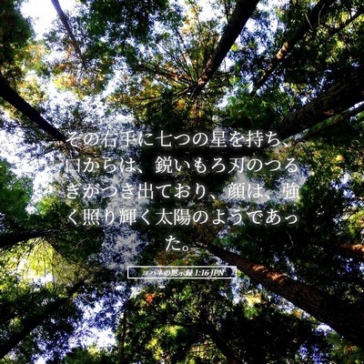 Picture 05 - ヨハネの黙示録 1:16 JPN - その右手に七つの星を持ち、口から - Bible Verse Picture