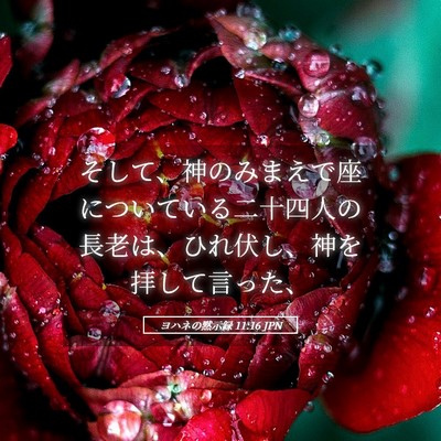 Picture 05 - ヨハネの黙示録 11:16 JPN - そして、神のみまえで座についてい - Bible Verse Picture