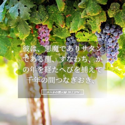 Picture 05 - ヨハネの黙示録 20:2 JPN - 彼は、悪魔でありサタンである龍、 - Bible Verse Picture