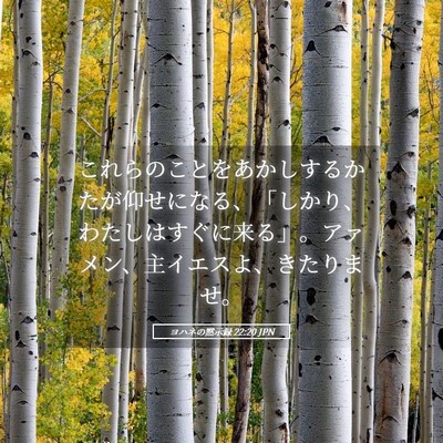 Picture 05 - ヨハネの黙示録 22:20 JPN - これらのことをあかしするかたが仰 - Bible Verse Picture