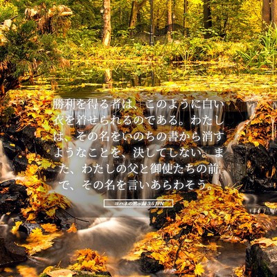 Picture 05 - ヨハネの黙示録 3:5 JPN - 勝利を得る者は、このように白い衣 - Bible Verse Picture