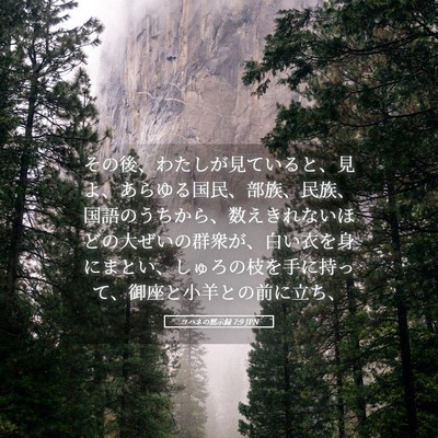 Picture 05 - ヨハネの黙示録 7:9 JPN - その後、わたしが見ていると、見よ - Bible Verse Picture