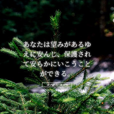 Picture 05 - ヨブ記 11:18 JPN - あなたは望みがあるゆえに安んじ、 - Bible Verse Picture