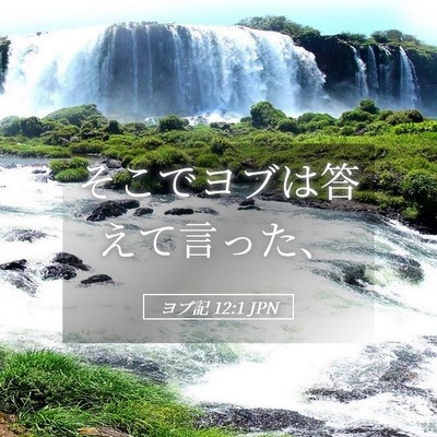 Picture 05 - ヨブ記 12:1 JPN - そこでヨブは答えて言った、 - Bible Verse Picture