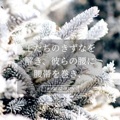 Picture 05 - ヨブ記 12:18 JPN - 王たちのきずなを解き、彼らの腰に - Bible Verse Picture
