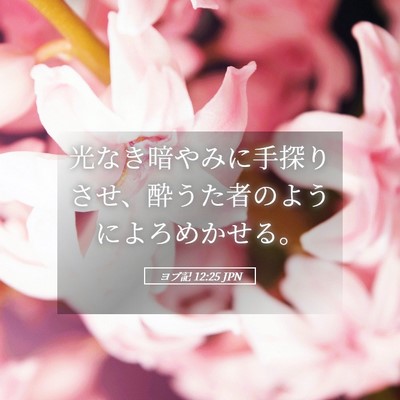 Picture 05 - ヨブ記 12:25 JPN - 光なき暗やみに手探りさせ、酔うた - Bible Verse Picture