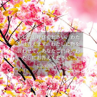 Picture 05 - ヨブ記 13:22 JPN - そしてお呼びください、わたしは答 - Bible Verse Picture