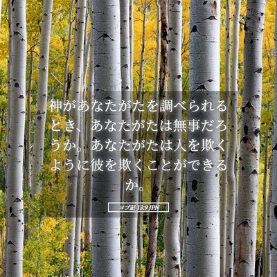 Picture 05 - ヨブ記 13:9 JPN - 神があなたがたを調べられるとき、 - Bible Verse Picture