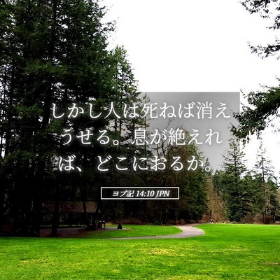 Picture 05 - ヨブ記 14:10 JPN - しかし人は死ねば消えうせる。息が - Bible Verse Picture