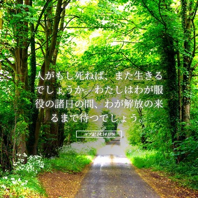 Picture 05 - ヨブ記 14:14 JPN - 人がもし死ねば、また生きるでしょ - Bible Verse Picture