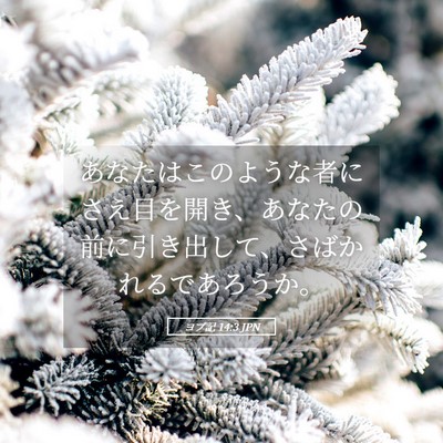 Picture 05 - ヨブ記 14:3 JPN - あなたはこのような者にさえ目を開 - Bible Verse Picture