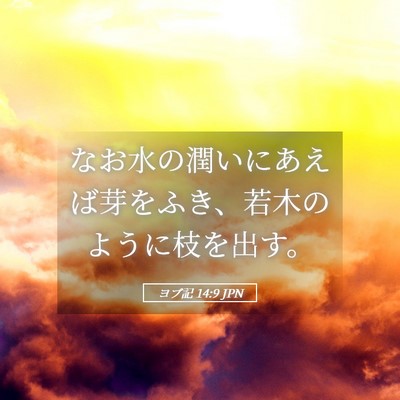 Picture 05 - ヨブ記 14:9 JPN - なお水の潤いにあえば芽をふき、若 - Bible Verse Picture