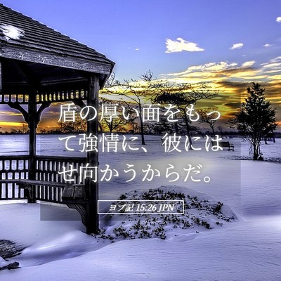 Picture 05 - ヨブ記 15:26 JPN - 盾の厚い面をもって強情に、彼には - Bible Verse Picture