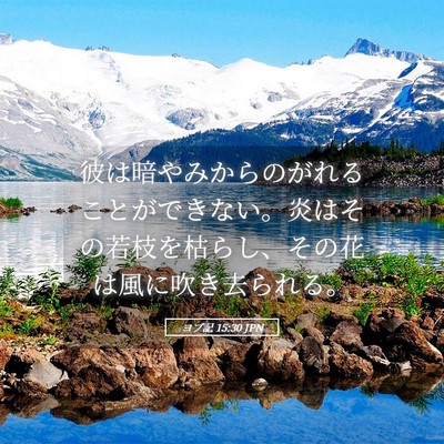 Picture 05 - ヨブ記 15:30 JPN - 彼は暗やみからのがれることができ - Bible Verse Picture