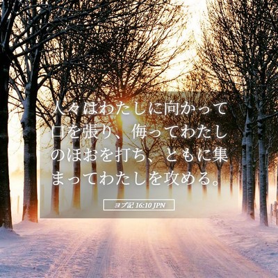 Picture 05 - ヨブ記 16:10 JPN - 人々はわたしに向かって口を張り、 - Bible Verse Picture