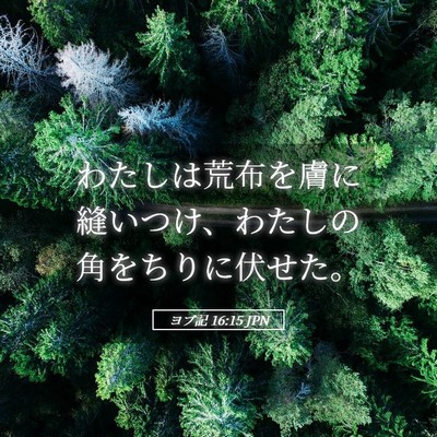 Picture 05 - ヨブ記 16:15 JPN - わたしは荒布を膚に縫いつけ、わた - Bible Verse Picture