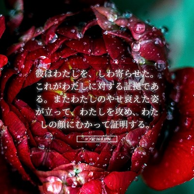 Picture 05 - ヨブ記 16:8 JPN - 彼はわたしを、しわ寄らせた。これ - Bible Verse Picture