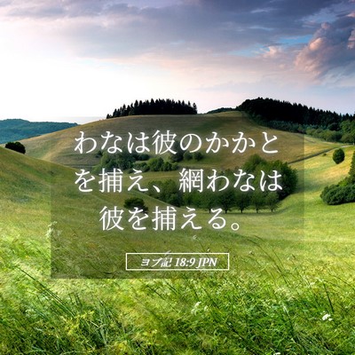Picture 05 - ヨブ記 18:9 JPN - わなは彼のかかとを捕え、網わなは - Bible Verse Picture