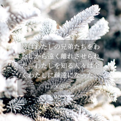 Picture 05 - ヨブ記 19:13 JPN - 彼はわたしの兄弟たちをわたしから - Bible Verse Picture