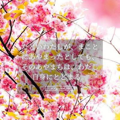 Picture 05 - ヨブ記 19:4 JPN - たといわたしが、まことにあやまっ - Bible Verse Picture