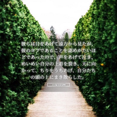 Picture 05 - ヨブ記 2:12 JPN - 彼らは目をあげて遠方から見たが、 - Bible Verse Picture