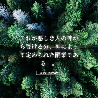 Picture 05 - ヨブ記 20:29 JPN - これが悪しき人の神から受ける分、 - Bible Verse Picture