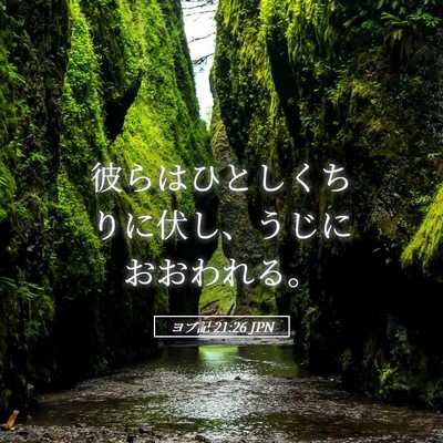 Picture 05 - ヨブ記 21:26 JPN - 彼らはひとしくちりに伏し、うじに - Bible Verse Picture