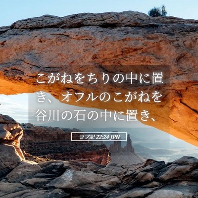 Picture 05 - ヨブ記 22:24 JPN - こがねをちりの中に置き、オフルの - Bible Verse Picture
