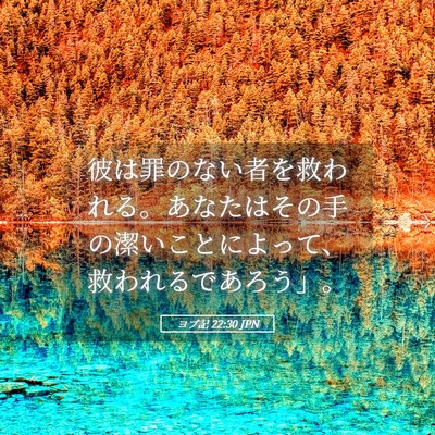 Picture 05 - ヨブ記 22:30 JPN - 彼は罪のない者を救われる。あなた - Bible Verse Picture