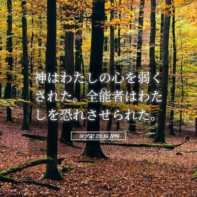 Picture 05 - ヨブ記 23:16 JPN - 神はわたしの心を弱くされた。全能 - Bible Verse Picture