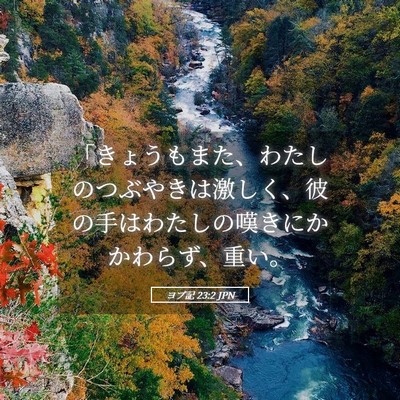 Picture 05 - ヨブ記 23:2 JPN - 「きょうもまた、わたしのつぶやき - Bible Verse Picture