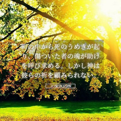 Picture 05 - ヨブ記 24:12 JPN - 町の中から死のうめきが起り、傷つ - Bible Verse Picture