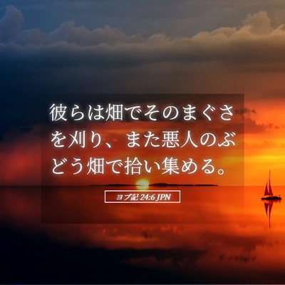 Picture 05 - ヨブ記 24:6 JPN - 彼らは畑でそのまぐさを刈り、また - Bible Verse Picture