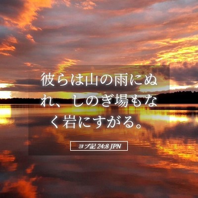 Picture 05 - ヨブ記 24:8 JPN - 彼らは山の雨にぬれ、しのぎ場もな - Bible Verse Picture