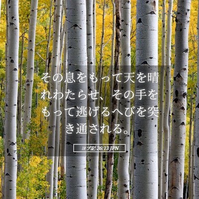 Picture 05 - ヨブ記 26:13 JPN - その息をもって天を晴れわたらせ、 - Bible Verse Picture