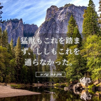 Picture 05 - ヨブ記 28:8 JPN - 猛獣もこれを踏まず、ししもこれを - Bible Verse Picture