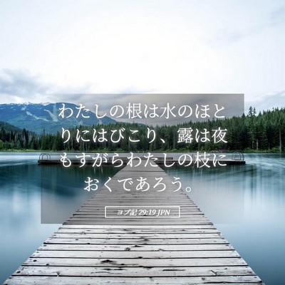 Picture 05 - ヨブ記 29:19 JPN - わたしの根は水のほとりにはびこり - Bible Verse Picture