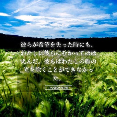 Picture 05 - ヨブ記 29:24 JPN - 彼らが希望を失った時にも、わたし - Bible Verse Picture