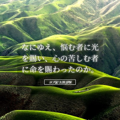 Picture 05 - ヨブ記 3:20 JPN - なにゆえ、悩む者に光を賜い、心の - Bible Verse Picture