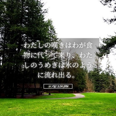 Picture 05 - ヨブ記 3:24 JPN - わたしの嘆きはわが食物に代って来 - Bible Verse Picture