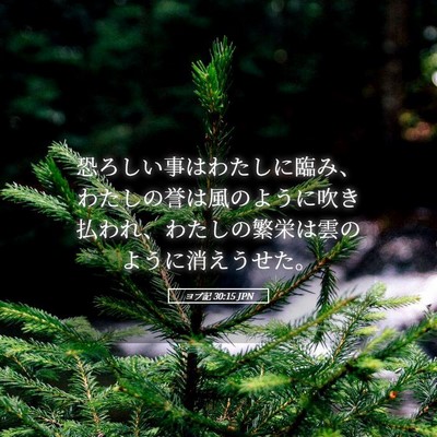 Picture 05 - ヨブ記 30:15 JPN - 恐ろしい事はわたしに臨み、わたし - Bible Verse Picture